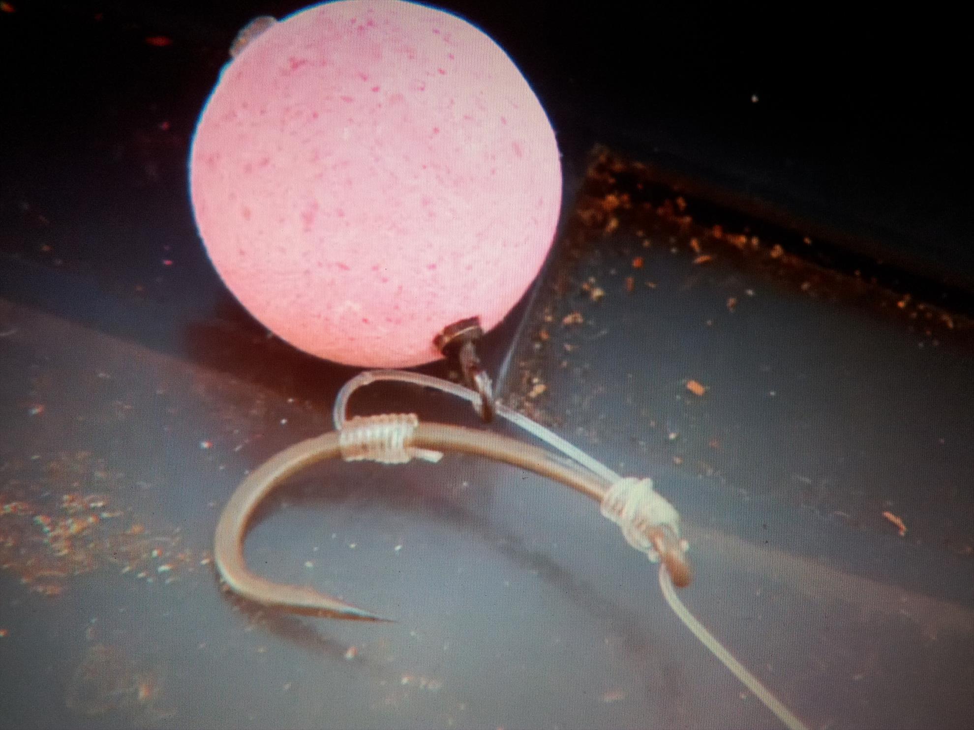 Monturi - 20130121213158.jpg